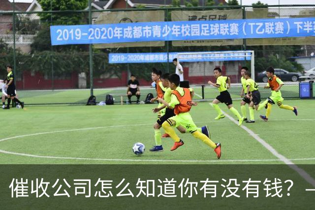 催收公司怎么知道你有没有钱？——你被“画像”了，自己却不知道
