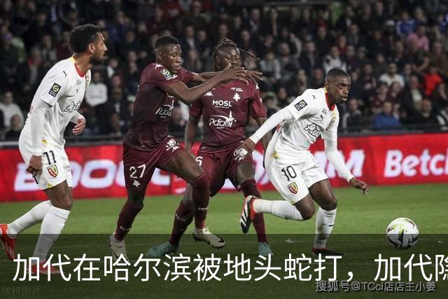 加代在哈尔滨被地头蛇打，加代隐忍不发，三天后哈尔滨高层大换血